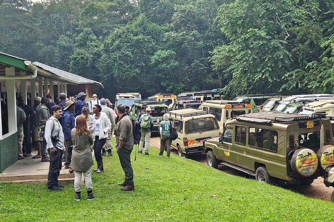 3-Day Private Guided Gorilla Trekking In Uganda - The Batwa Cultural Heritage Stop: More Than a Side Trip