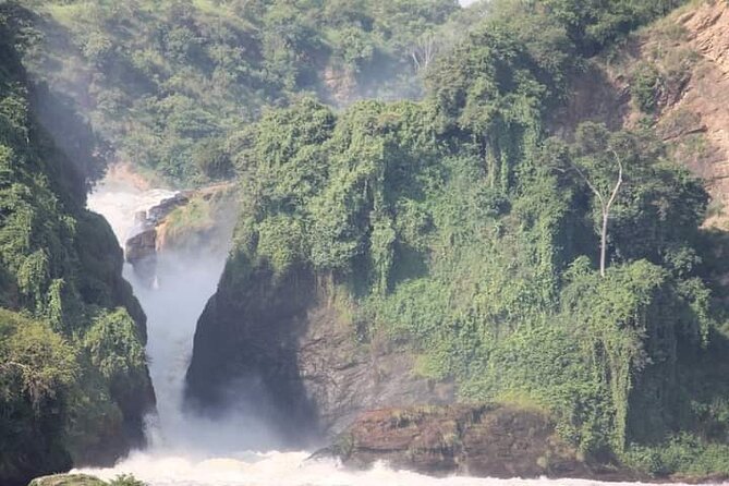 3-Day Private Safari of Murchison Falls National Park - Why Murchison Falls is such a strong 3-day target