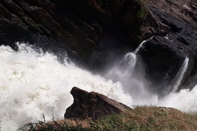 3 Day Private safari to Murchison Falls National Park with Big Five Experience - Key Highlights You Should Know Before You Go