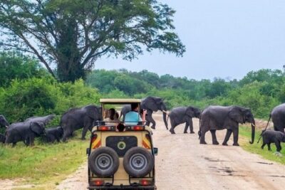 3-Day Safari in Queen Elizabeth National Park Uganda from Kampala