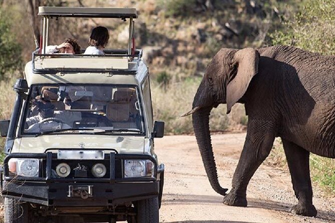 3-Day Safari in Queen Elizabeth National Park Uganda from Kampala - Price and value: is $1,125 per person fair for this 3-day safari?