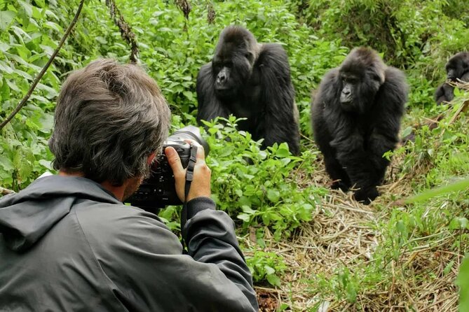 3 Day Uganda Gorilla Trekking and Batwa Pygmies Experience - Day 3 return to Entebbe or Kampala: keep your schedule flexible