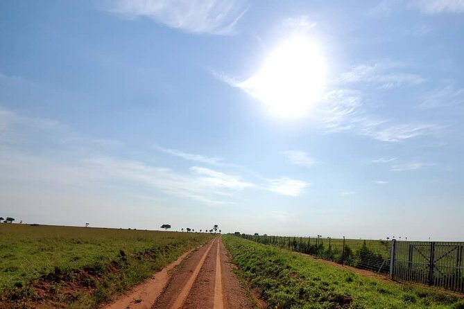 3 Days 2 Nights, Murchison Falls And Wildlife Safari - Park time after the drive: boat cruise and lodge nights