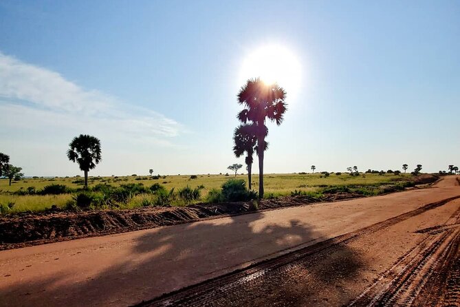 3 Days 2 Nights, Murchison Falls And Wildlife Safari - Should you book this 3 Days 2 Nights Murchison Falls and Wildlife Safari?