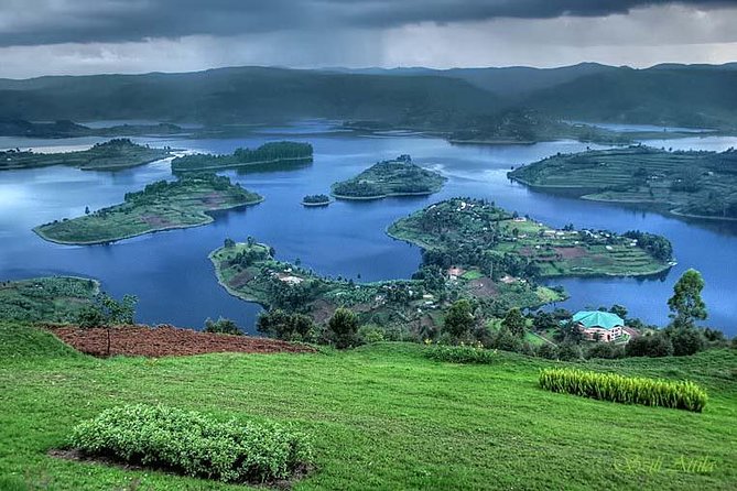 3 Days Bwindi Gorilla Trekking tour - Day 1: Kampala to Bwindi with the Equator break and your first trek day