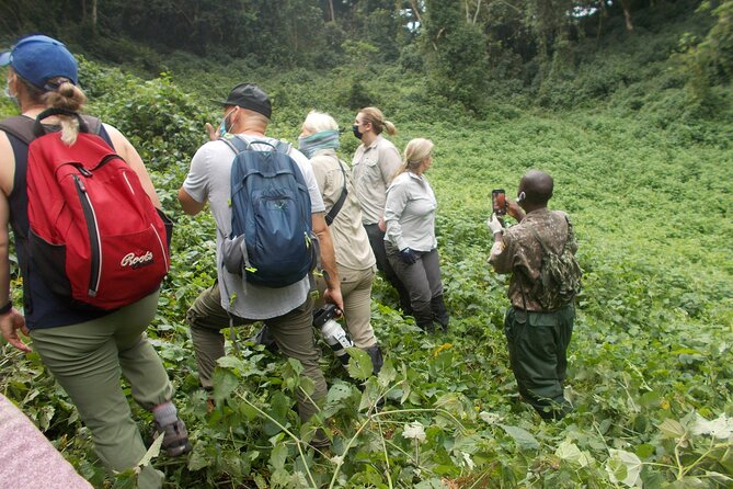 3 Days Bwindi Gorilla Trekking tour - Lodging and meals: built into the schedule, not an extra hassle
