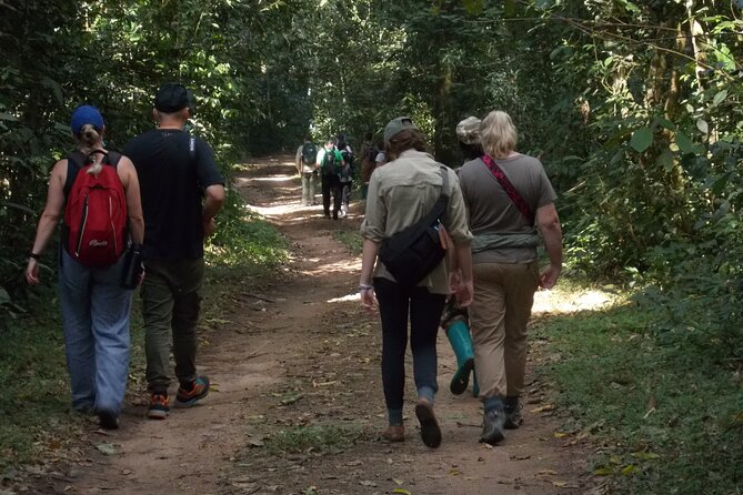 3 Days Bwindi Gorilla Trekking tour - Price and logistics: what your $1,850 is buying you