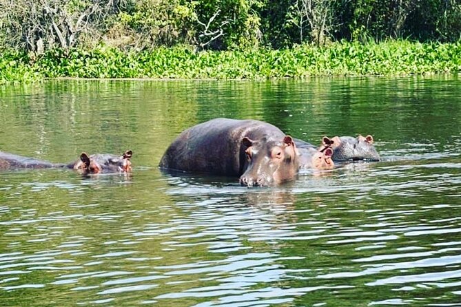 3 Days gorilla trekking Safari tour in Uganda - After the Forest: Lake Bunyonyi Canoe Ride for a Mental Reset