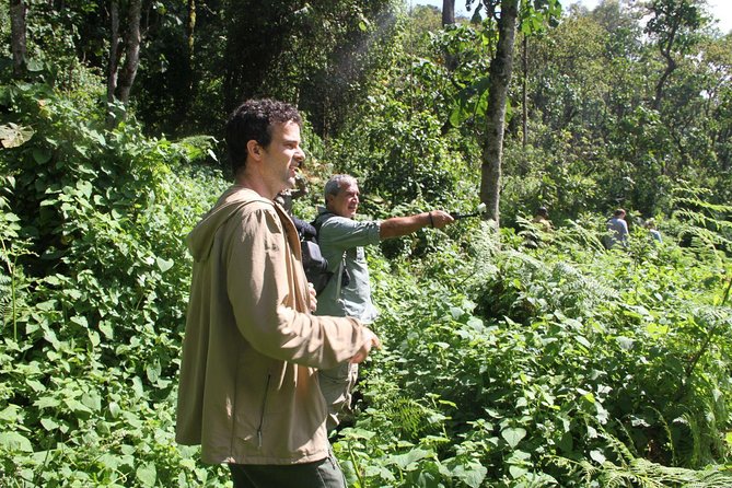 3 Days Gorilla trekking tour - The Kampala to Bwindi road trip, and why the travel day matters
