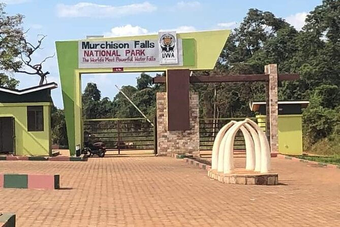 3 Days magical Murchison falls safari - Day 3: second game drive and the top-of-the-falls finale