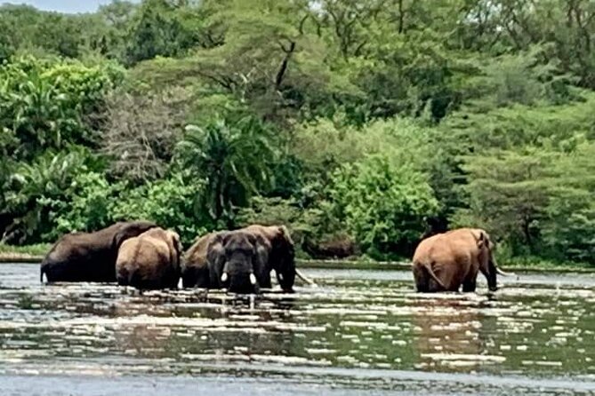 3 Days magical Murchison falls safari - Comfort, safety, and the small extras that matter
