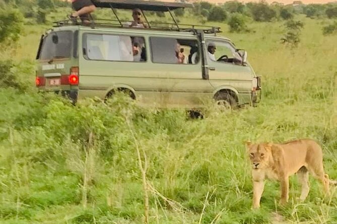 3 Days magical Murchison falls safari - Who should book this safari, and who might not love it
