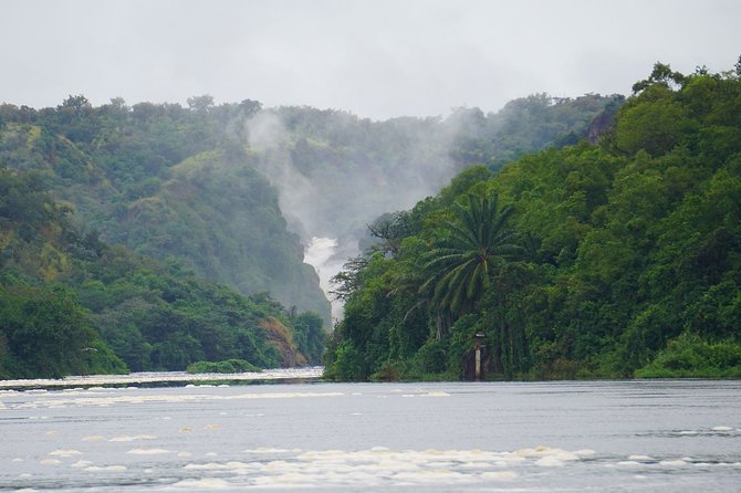 3 Days Murchison Falls Adventure Wildlife Safari Uganda Tour - Key Highlights I’d Aim For