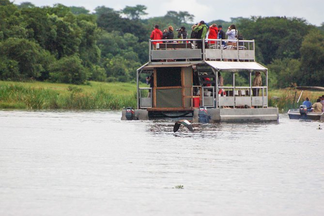 3 days Murchison Falls, Boat cruise and wildlife game viewing - Hiking to the top of the falls: not easy, but the payoff is the point
