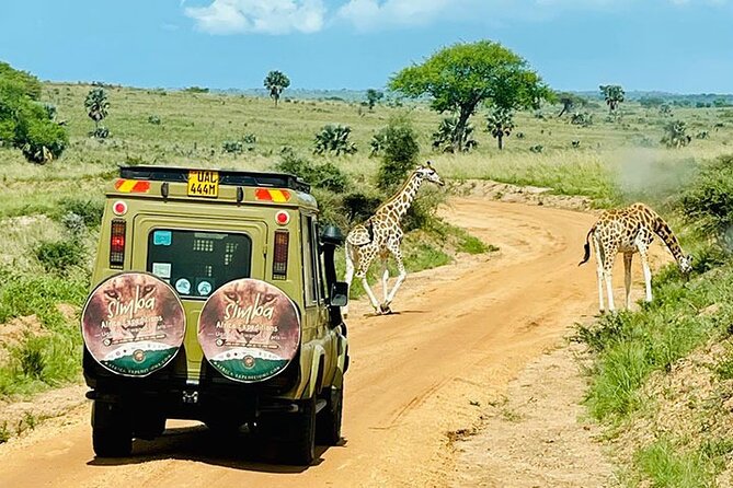 3 days Murchison Falls, Boat cruise and wildlife game viewing - Game drives in Murchison Falls: where a private guide really pays off