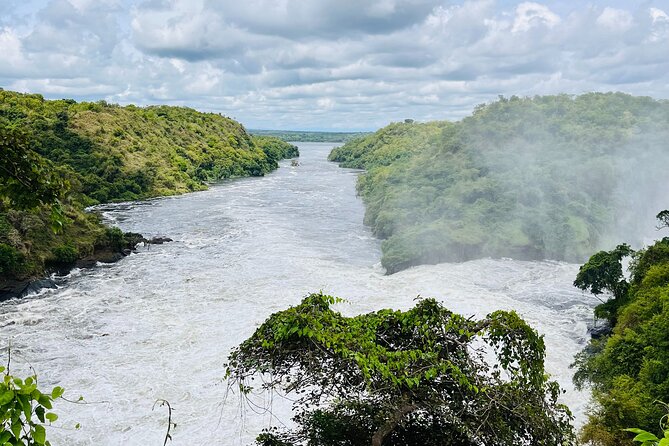 3 Days Murchison Falls National Park Safari & Rhino tracking - Key highlights you should know before you go