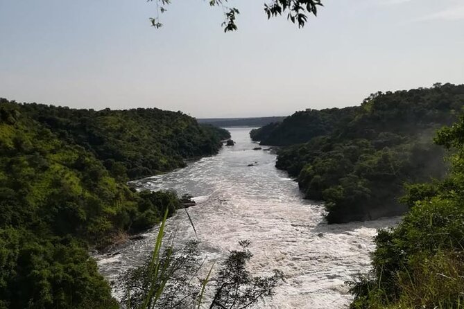 3 Days Murchison Falls National Park Safari & Rhino tracking - Tips to get the best results from rhino tracking and falls viewing