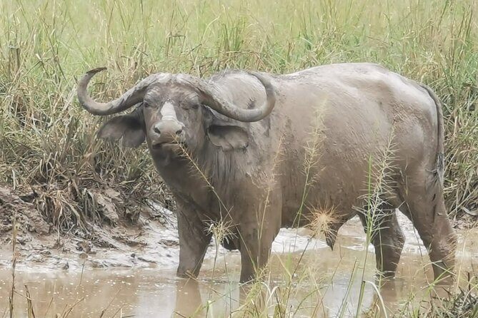 3 Days Murchison falls park Uganda - Accommodation and meals, what to expect from the comfort level