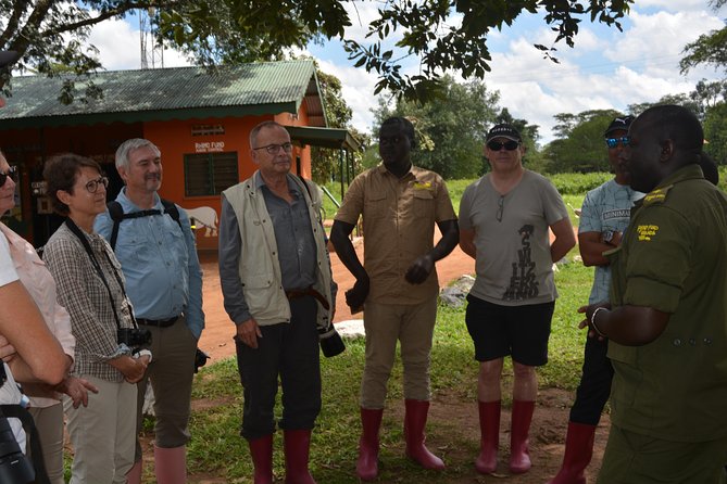 3-Days Murchison Falls Vacation Including Big 5 Sighting! - Day 3: Top of the Falls Views, Then Back Toward Entebbe and Your Flight