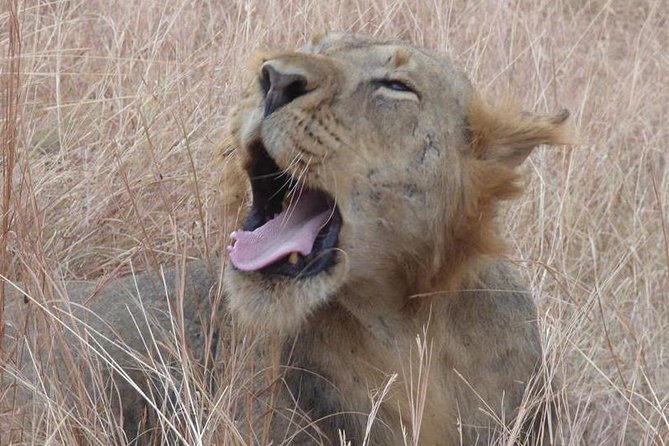 3 days Queen Elizabeth National Park Uganda Safari - Lodge comfort and the meal setup that keeps you going