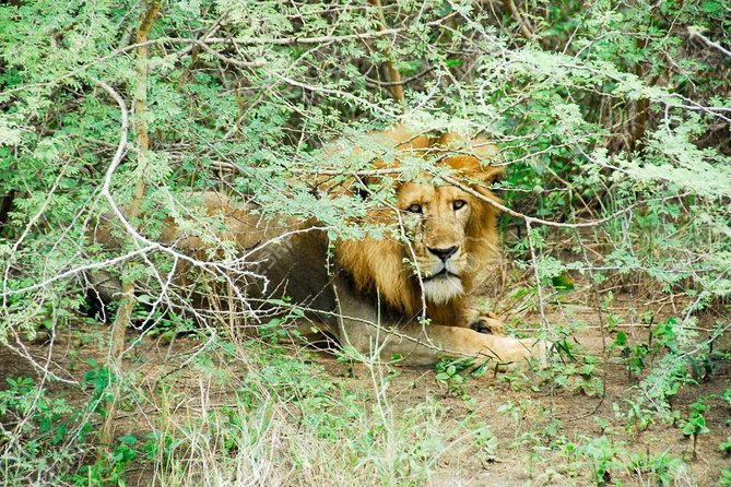 3 Days Trip To Murchison Falls - Getting from Kampala to the park without losing your day
