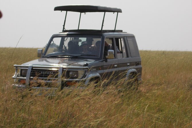 3 Days Trip To Murchison Falls - Day 2 sunrise game drive on Nyamsika plateau: where the wildlife odds improve