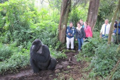 3 days Uganda Gorilla safari tour with relaxation on Lake Bunyonyi
