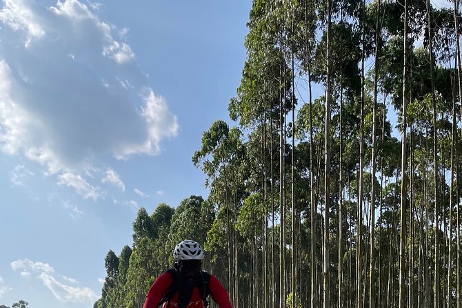 3 Hours Guided Cycling Tour Across Lake Victoria - Single-track trail time, lake views, and what you’ll notice along the way