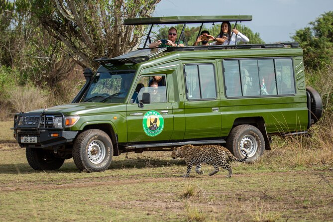 4-Day QENP, Gorillas in Bwindi and Lake Bunyonyi relaxation - Lodging at Irungu Forest Safari Lodge and Eagles’ Nest Tented Camp