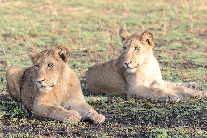 4-Day QENP, Gorillas in Bwindi and Lake Bunyonyi relaxation - Value and price, what $4,770 per person is covering