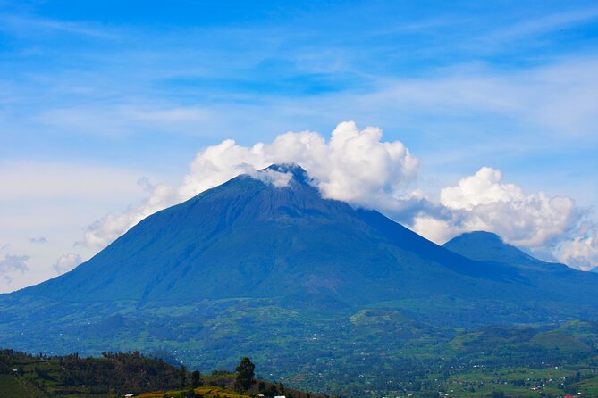 4 Days Gorilla tracking Tour in Uganda - Gorilla Day in Bwindi: What the Trek and One-Hour Encounter Mean