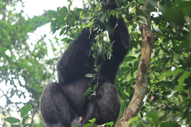 5-Day Big 5 Kidepo valley National Park Safari - Why Kidepo Valley feels different from a typical safari