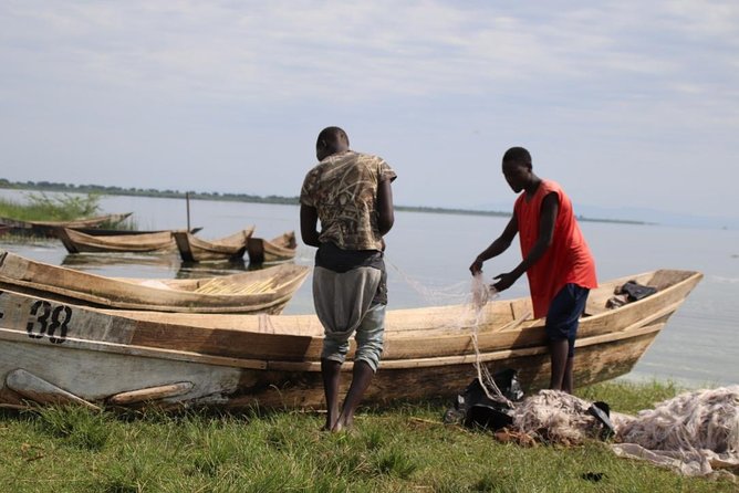 5 Day Gorillas, Wildlife and Kalinzu Forest Chimp Trek - Queen Elizabeth National Park: Kasenyi Plains Game Drives and the Kazinga Channel Boat Cruise