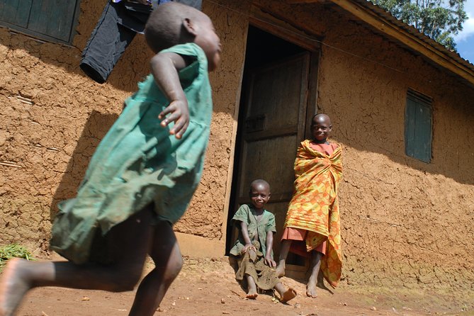 5 Days Gorilla Safari Uganda - Early mornings, the 9 km walk, and how to prepare smart