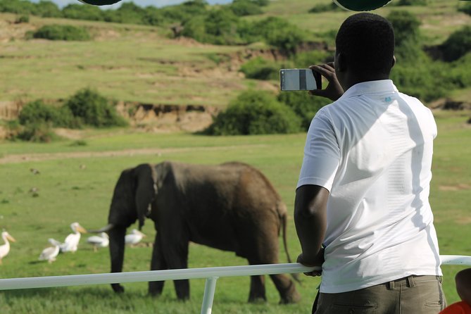 6-Day Queen Elizabeth and Mburo Luxury Safari - Day 1: Kampala arrival, the Acactus Hotel reset, and an easy first night