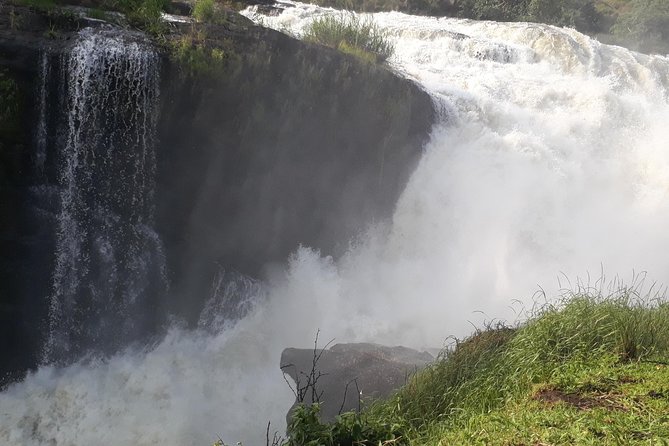 6 Days Chimps, Gorillas & Murchison Falls Africa's Big Five Experience Safari - Murchison Falls National Park: Top of the Falls and Big Five odds