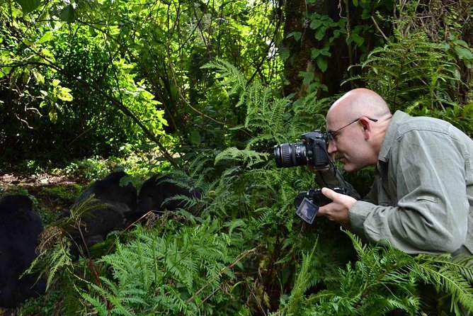 6 Days Chimps, Gorillas & Murchison Falls Africa's Big Five Experience Safari - Bwindi arrival: Igongo cultural stop and your Buhoma base