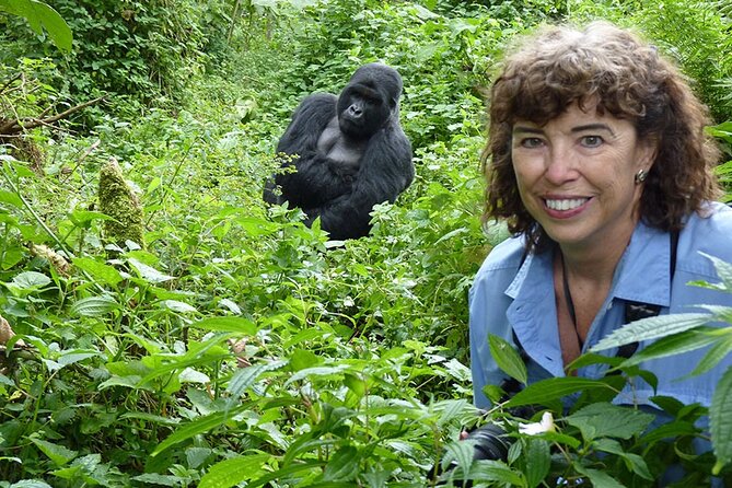 6 Days Uganda Gorilla, Chimps Trekking and Wildlife Safari - Day 1: Entebbe arrival and a soft landing before Bwindi