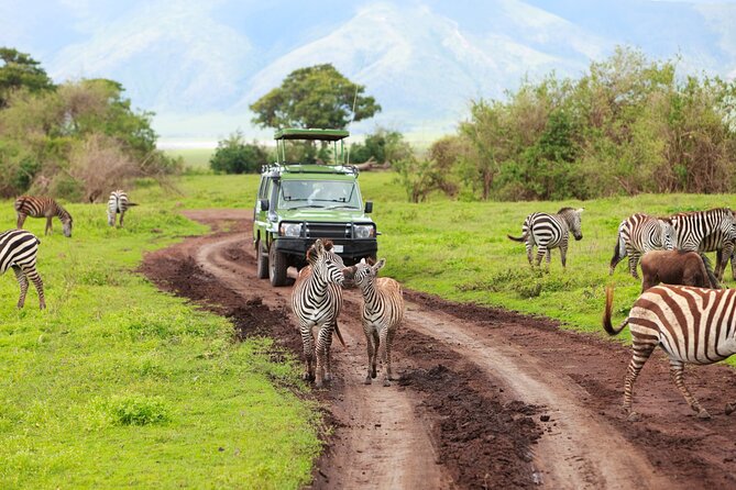 7-Day Private Uganda Gorilla Tracking Safari Tour From Entebbe - Kalinzu chimp trek and the scenic push to Bwindi