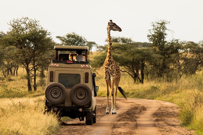 7-Day Private Uganda Gorilla Tracking Safari Tour From Entebbe - Day 2 from the Equator to Queen Elizabeth, via Igongo Cultural Center and tea country