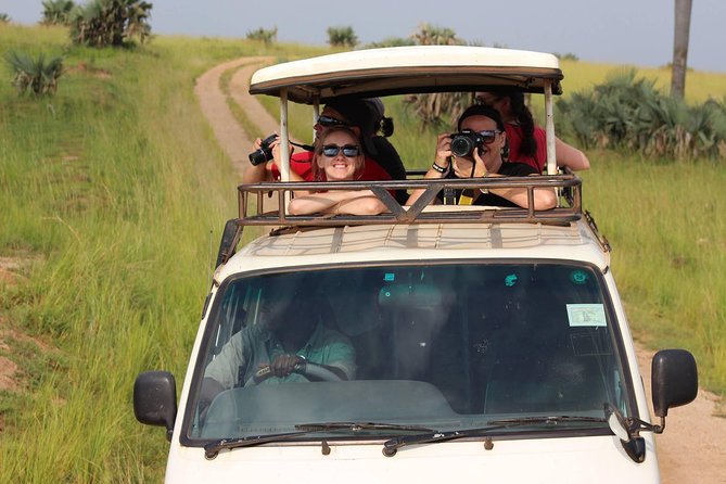 7-Day Uganda Adventure Safari - Midrange Lodges - Queen Elizabeth National Park: Kazinga Channel wildlife by boat