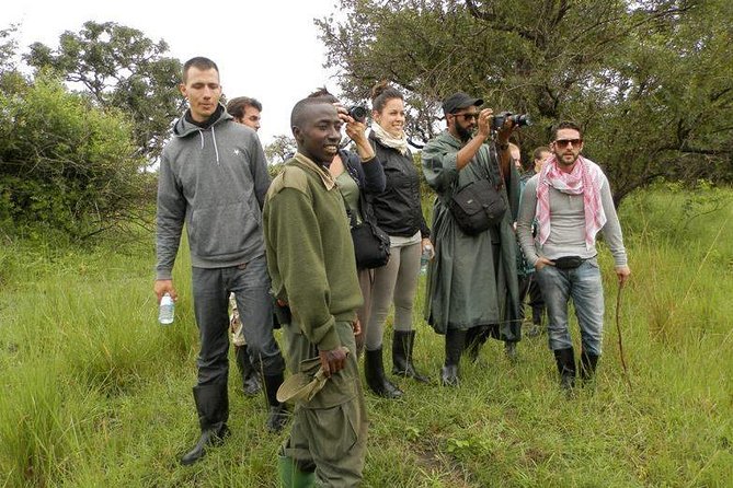 7-Day Uganda Adventure Safari - Midrange Lodges - Queen Elizabeth Day 6 and Ishasha: going after the tree-climbing lions