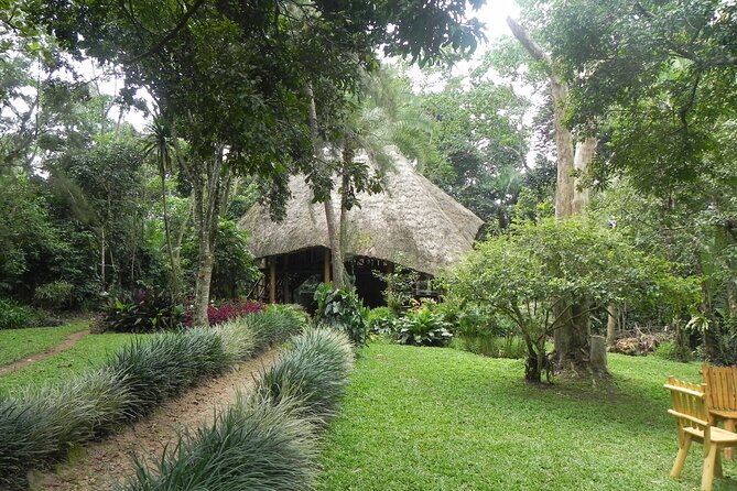 7 Days Flying Gorillas and Wildlife Safari Uganda Private Tour - Morning Kasenyi drive and evening Kabatoro drive: where the predators hunt
