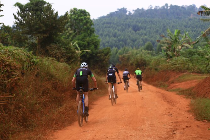 7 Hours Guided Cycling Tour to Sezibwa Waterfalls - Key things to know before you ride