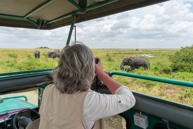 8-Day Classic Uganda Primates & Wildlife Tour - Crossing Bwindi on foot and ending in Ishasha lions