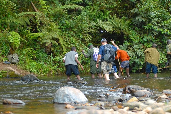 8-Day Classic Uganda Primates & Wildlife Tour - Kibale chimp treks and Bigodi’s bird and primate mix