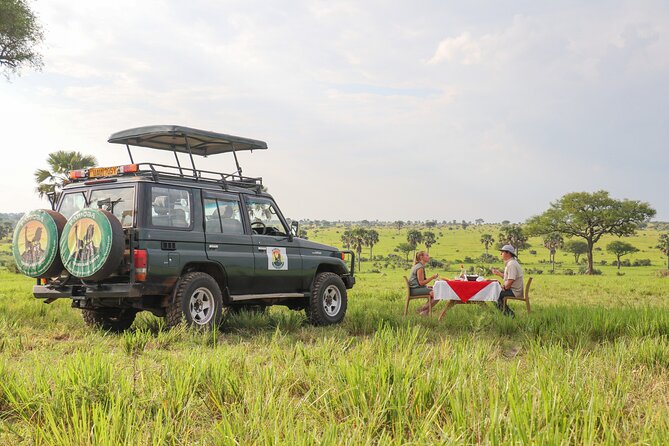 8-Day Private Uganda Big 5 Luxury Safari with Gorillas and Chimps - Day 6: Ishasha Tree-Climbing Lions on the Way into Bwindi