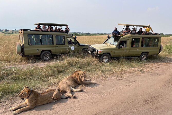 9 Days Uganda Wildlife Safaris, Gorilla Trekking & Hiking - Why this Uganda wildlife mix works on a 9-day clock