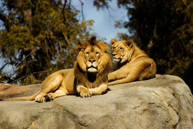 9 Days Uganda Wildlife Safaris, Gorilla Trekking & Hiking - Day 1 and Day 2: Entebbe to Zziwa Rhino Sanctuary, then Murchison Falls