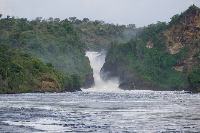 9 Days Uganda Wildlife Safaris, Gorilla Trekking & Hiking - Day 9: A final game drive near Kampala before you head out